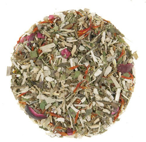 Cranberry Echinacea